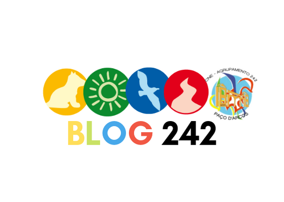 Logótipo do Blog 242