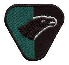 Insignia Patrulha Águia